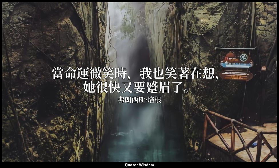 當命運微笑時，我也笑著在想，她很快又要蹙眉了。 — 弗朗西斯·培根