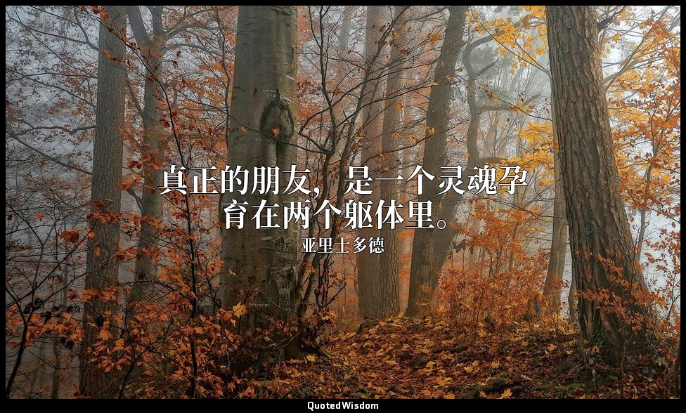 真正的朋友，是一个灵魂孕育在两个躯体里。 — 亚里士多德