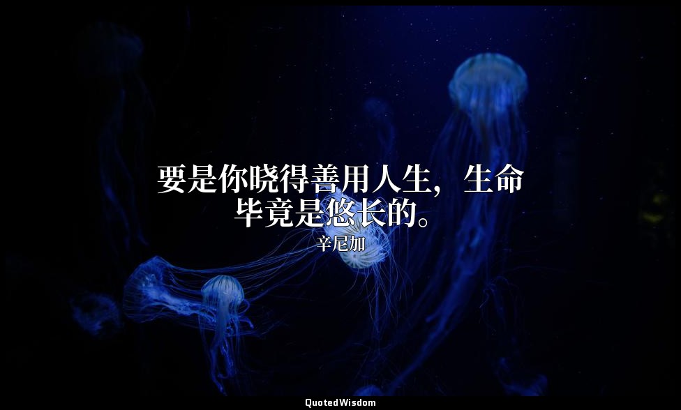 要是你晓得善用人生，生命毕竟是悠长的。 — 辛尼加