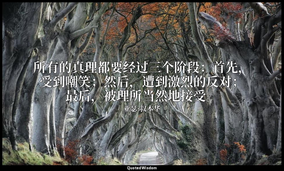 所有的真理都要经过三个阶段：首先，受到嘲笑；然后，遭到激烈的反对；最后，被理所当然地接受。 — 亚瑟·叔本华
