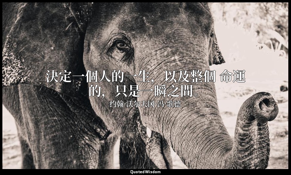決定一個人的一生，以及整個 命運 的，只是一瞬之間。 — 约翰·沃尔夫冈·冯·歌德