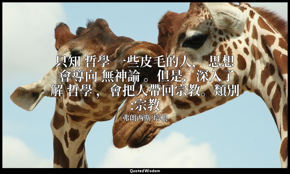 只知 哲學 一些皮毛的人， 思想 會導向 無神論 。但是，深入了解 哲學 ，會把人帶回宗教。類別:宗教 — 弗朗西斯·培根