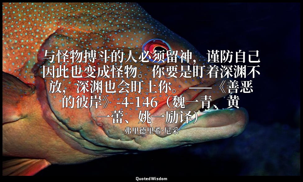 与怪物搏斗的人必须留神，谨防自己因此也变成怪物。你要是盯着深渊不放，深渊也会盯上你。 ——《善恶的彼岸》-4-146（魏一青、黄一蕾、姚一励译） — 弗里德里希·尼采