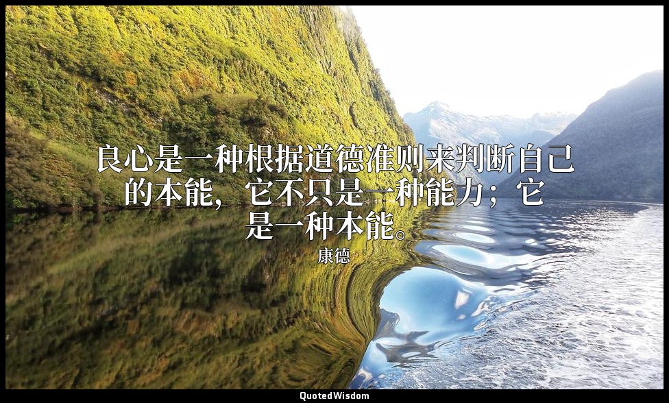 良心是一种根据道德准则来判断自己的本能，它不只是一种能力；它是一种本能。 — 康德
