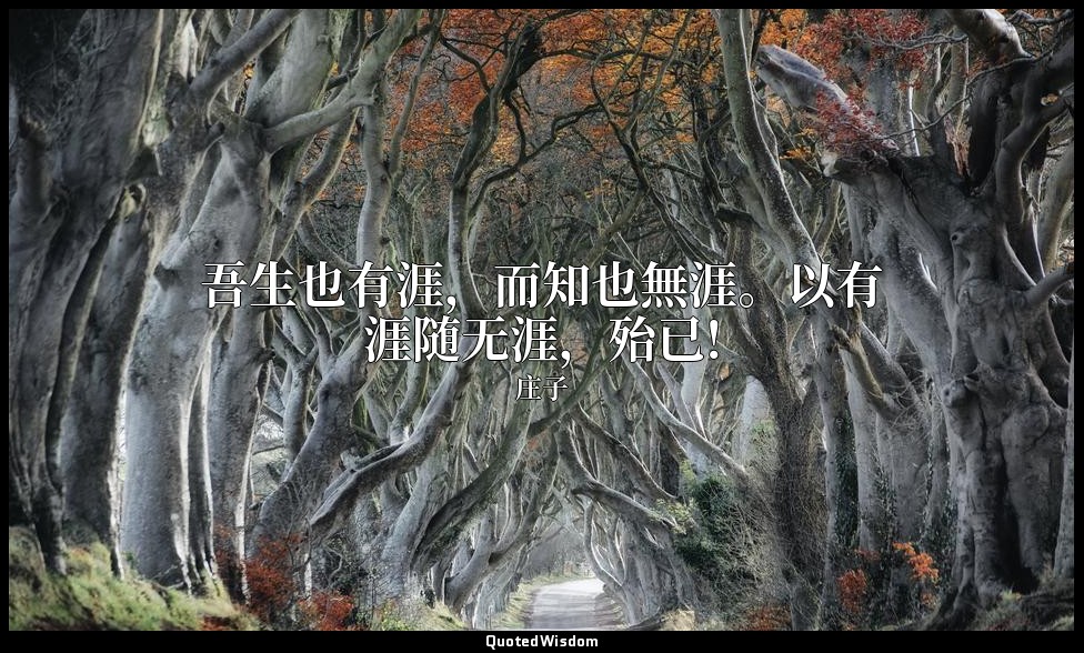 吾生也有涯，而知也無涯。以有涯随无涯，殆已! — 庄子