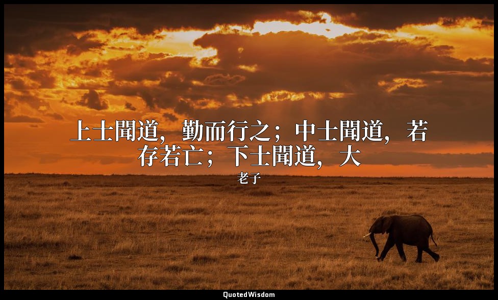 上士聞道，勤而行之；中士聞道，若存若亡；下士聞道，大 — 老子
