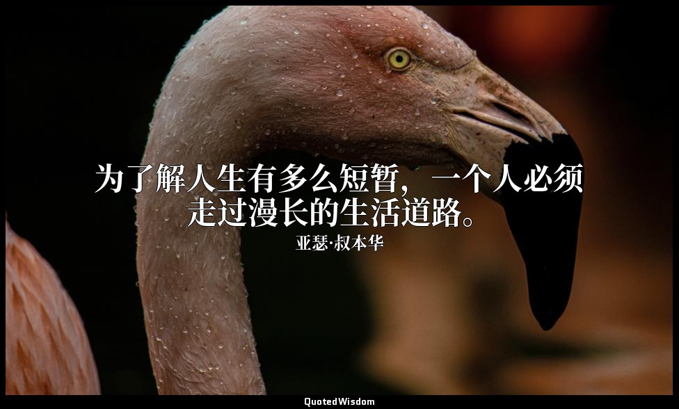 为了解人生有多么短暂，一个人必须走过漫长的生活道路。 — 亚瑟·叔本华