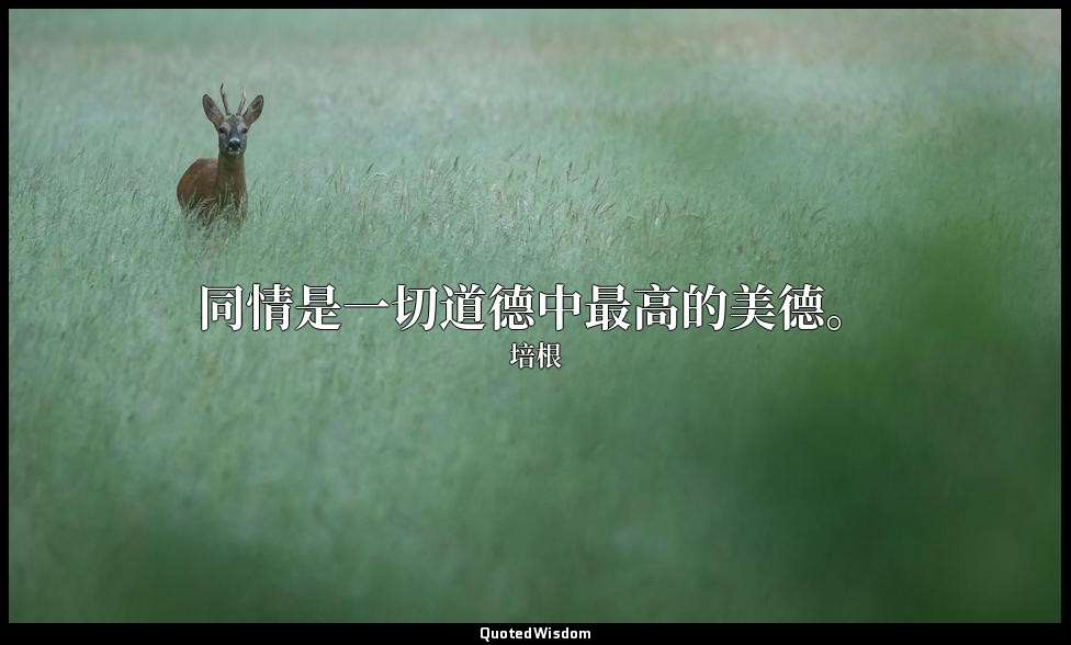同情是一切道德中最高的美德。 — 培根