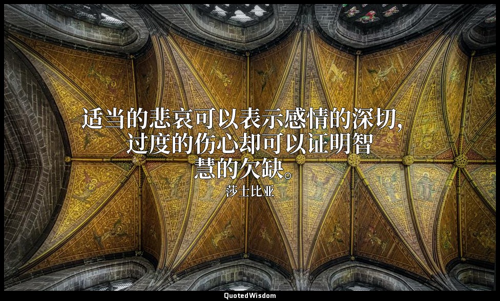 适当的悲哀可以表示感情的深切，过度的伤心却可以证明智慧的欠缺。 — 莎士比亚