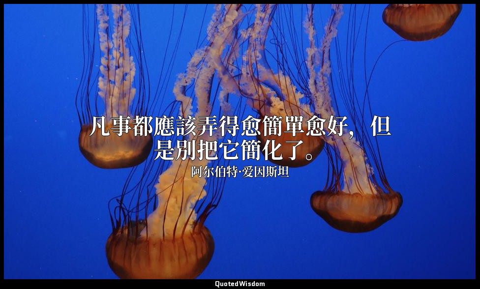 凡事都應該弄得愈簡單愈好，但是別把它簡化了。 — 阿尔伯特·爱因斯坦