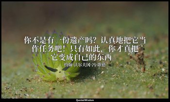你不是有一份遗产吗？认真地把它当作任务吧！只有如此，你才真把它变成自己的东西。 — 约翰·沃尔夫冈·冯·歌德