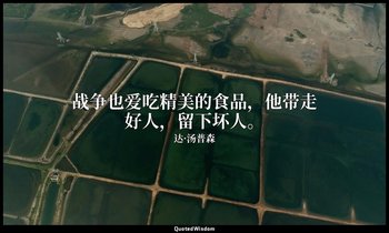 战争也爱吃精美的食品，他带走好人，留下坏人。 — 达·汤普森