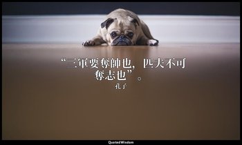 “三軍要奪帥也，匹夫不可奪志也”。 — 孔子