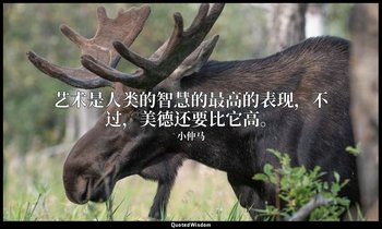 艺术是人类的智慧的最高的表现，不过，美德还要比它高。 — 小仲马