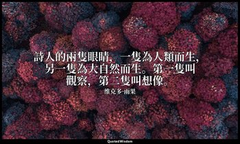 詩人的兩隻眼睛，一隻為人類而生，另一隻為大自然而生。第一隻叫觀察，第二隻叫想像。 — 维克多·雨果