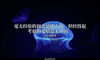 毫无经验的初恋是迷人的，但经得起考验的爱情是无价的。 — 马尔林斯基