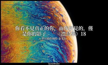 你看不見真正的你，而你所見的，僅是你的影子。－《漂鳥集》18 — 罗宾德拉纳特·泰戈尔
