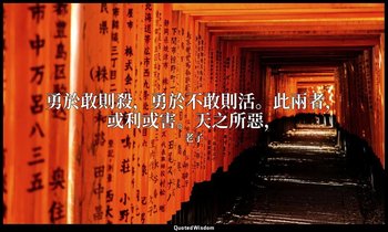 勇於敢則殺，勇於不敢則活。此兩者，或利或害。天之所惡， — 老子