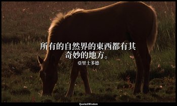 所有的自然界的東西都有其奇妙的地方。 — 亞里士多德