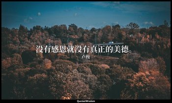 没有感恩就没有真正的美德。 — 卢梭