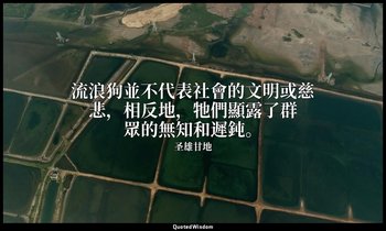 流浪狗並不代表社會的文明或慈悲，相反地，牠們顯露了群眾的無知和遲鈍。 — 圣雄甘地