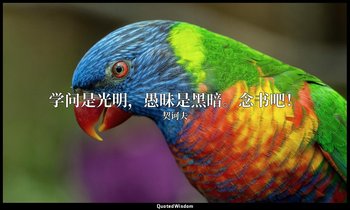 学问是光明，愚昧是黑暗。念书吧！ — 契诃夫