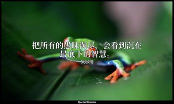 把所有的愚昧淘尽，会看到沉在最底下的智慧。 — 贝尔纳