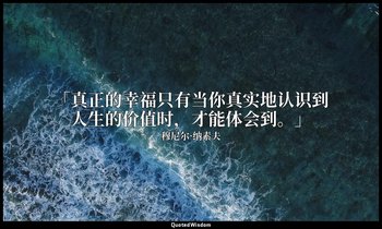 「真正的幸福只有当你真实地认识到人生的价值时，才能体会到。」 — 穆尼尔·纳素夫