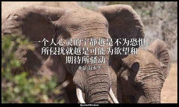一个人心灵的宁静越是不为恐惧所侵扰就越是可能为欲望和期待所骚动。 — 亚瑟·叔本华