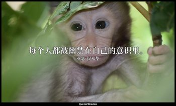 每个人都被幽禁在自己的意识里。 — 亚瑟·叔本华