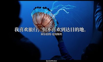 我喜欢旅行，但不喜欢到达目的地。 — 阿尔伯特·爱因斯坦