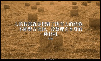 人的智慧就是积聚了所有人的经验，不断聚合选择，及整理它本身的一种材料。 — 卢梭