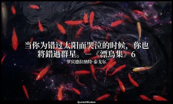 当你为错过太阳而哭泣的时候，你也將錯過群星。－《漂鳥集》6 — 罗宾德拉纳特·泰戈尔