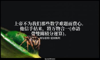 上帝不为我们那些数学难題而費心。他信手拈来，將万物合一(亦語帶雙關積分運算)。 — 阿尔伯特·爱因斯坦
