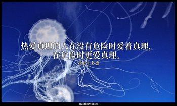 热爱真理的人在没有危险时爱着真理，在危险时更爱真理。 — 亚里士多德