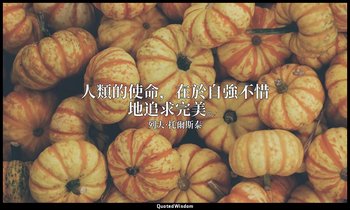 人類的使命，在於自強不惜地追求完美。 — 列夫·托爾斯泰