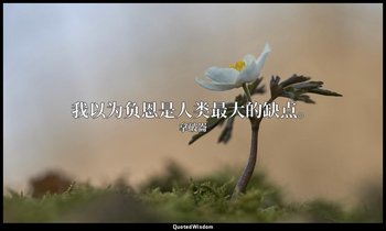 我以为负恩是人类最大的缺点。 — 拿破崙