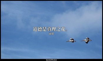 道德是真理之花。 — 雨果