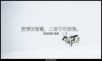 愛情和智慧，二者不可兼得。 — 弗朗西斯·培根