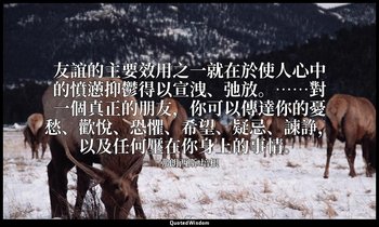 友誼的主要效用之一就在於使人心中的憤懣抑鬱得以宣洩、弛放。……對一個真正的朋友，你可以傳達你的憂愁、歡悅、恐懼、希望、疑忌、諫諍，以及任何壓在你身上的事情。 — 弗朗西斯·培根