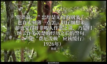 俗语说：“ 忠厚是无用的别名 ”，也许太刻薄一点罢，但仔细想来，却也觉得并非唆人作恶之谈，乃是归纳了许多苦楚的经历之后的警句。 ——《论“费厄泼赖”应该缓行》（ — 魯迅