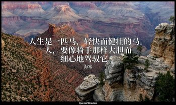 人生是一匹马，轻快而健壮的马。人，要像骑手那样大胆而细心地驾驭它。 — 海塞