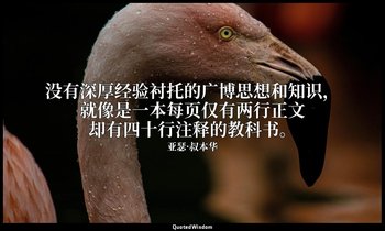没有深厚经验衬托的广博思想和知识，就像是一本每页仅有两行正文却有四十行注释的教科书。 — 亚瑟·叔本华