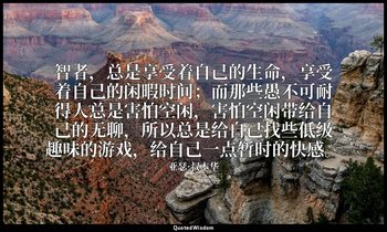 智者，总是享受着自己的生命，享受着自己的闲暇时间；而那些愚不可耐得人总是害怕空闲，害怕空闲带给自己的无聊，所以总是给自己找些低级趣味的游戏，给自己一点暂时的快感 — 亚瑟·叔本华