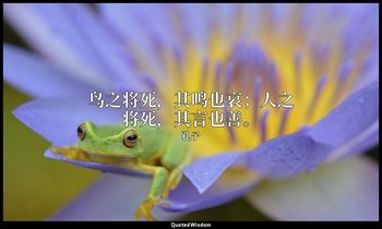 鸟之将死，其鸣也哀；人之将死，其言也善。 — 孔子