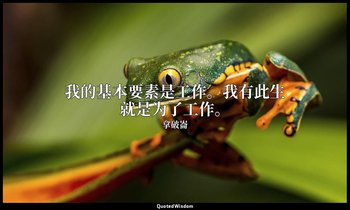 我的基本要素是工作。我有此生就是为了工作。 — 拿破崙
