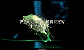 智慧的艺术就是懂得该宽容什么的艺术。 — 威廉·詹姆斯