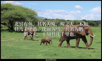 北冥有鱼，其名为鲲，鲲之大，不知其几千里也。化而为鸟，其名为鹏。鹏之大，不知其几千里也。 — 庄子