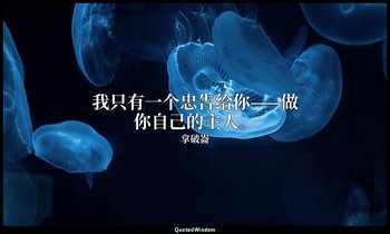 我只有一个忠告给你——做你自己的主人。 — 拿破崙