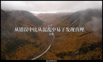 从错误中比从混乱中易于发现真理。 — 培根